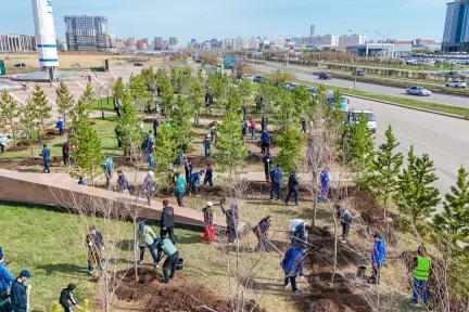 KMG Marks World Environment Day