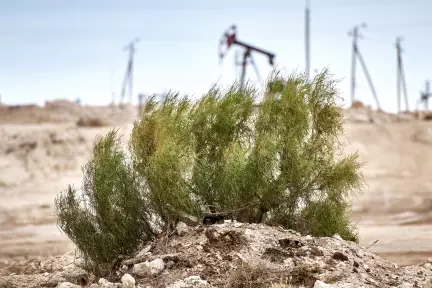 UNEP метан шығарындыларын инвентаризациялау бойынша ҚазМұнайГаздың алғашқы есебін қабылдады