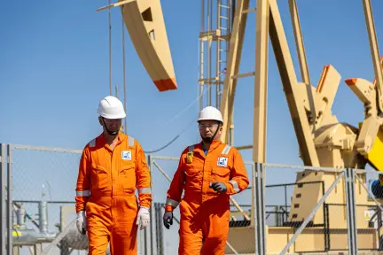 677,3 тыс. тонн нефти добыто на месторождении Дунга в 2025 году